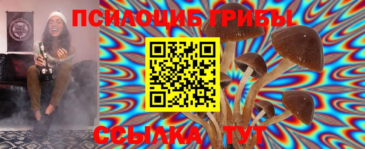 Галлюциногенные грибы мицелий  Галлюциногенные грибы GOLDEN TEACHER  купить наркотики сайты  Вход с VPN  Балаково 